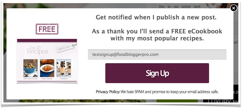 Leadpages Box.